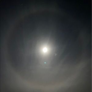 Meet your Posher, Mario